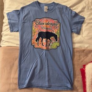 Chincoteague Virginia Graphic Shirt